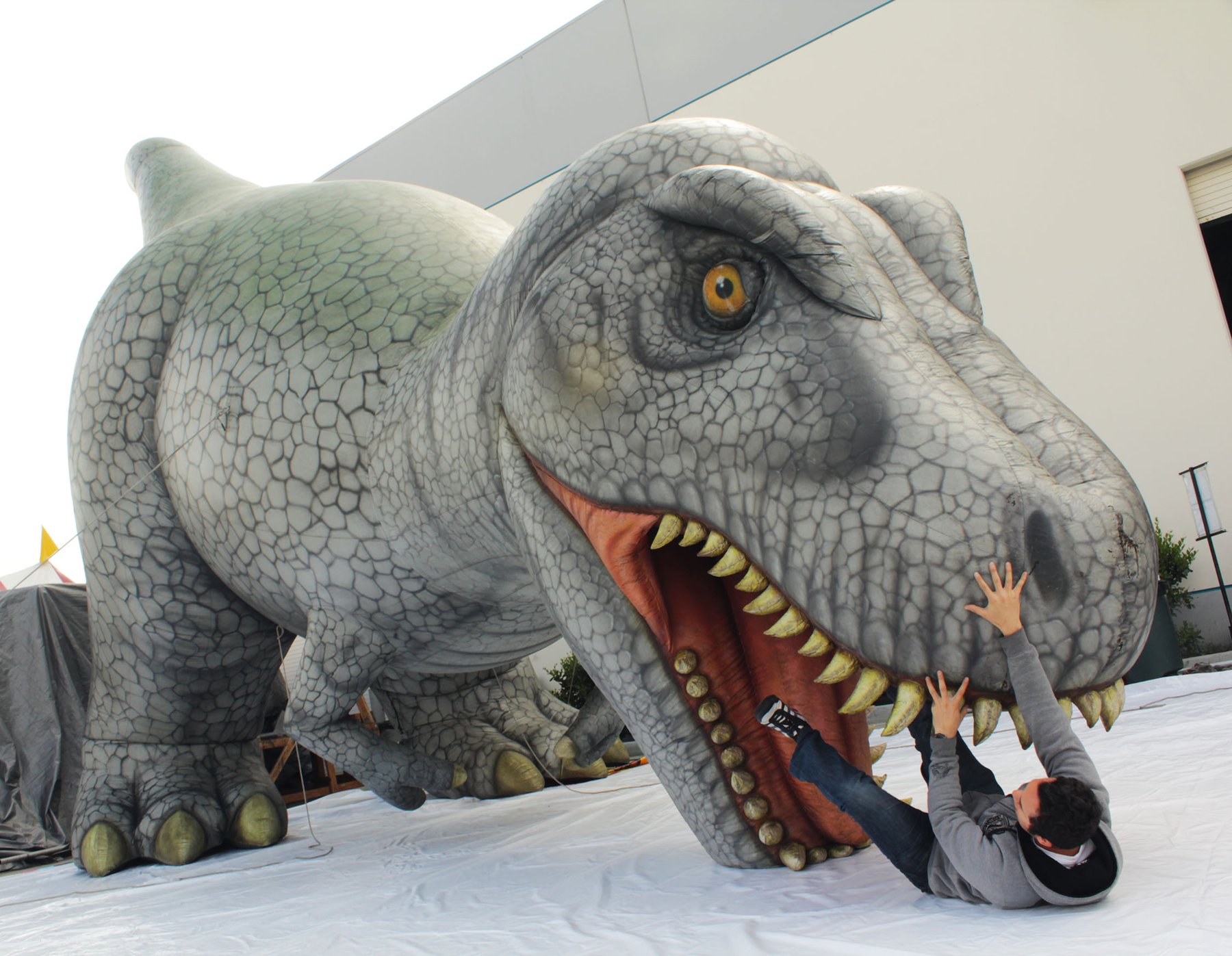 Giant Inflatable Dinosaur Inflatable Products Inflatable Animals